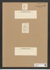 Plagiogramma decussatum Grev. (de-Toni-Nr.: Genus 83, Species 2929) Zeichnungen Sammlung Grunow Nr. 5920 (NHMW-BOT-W0374384)